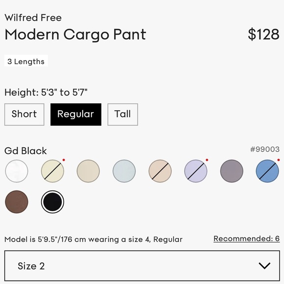 ⭐️BRAND NEW⭐️ Wilfred Free Modern Cargo Pants - Picture 6 of 7